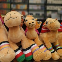 Toys Swimming Items