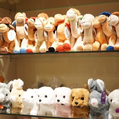 Modest Gift - Oryx Grand Hotel