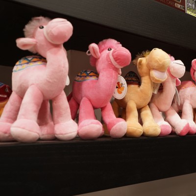 Modest Gift - Crowne Plaza Yas Island